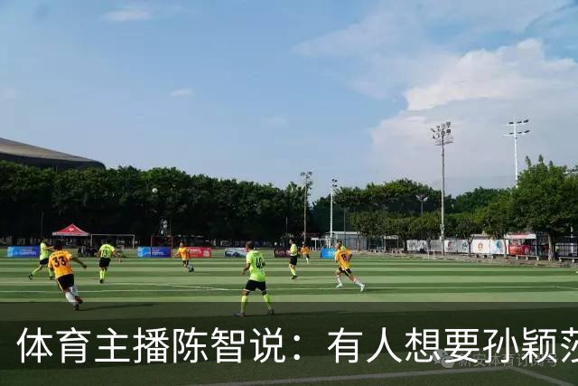 体育主播陈智说：有人想要孙颖莎，王楚钦身上的流量，还有他们的代言，想要他们身上聚焦的高度。